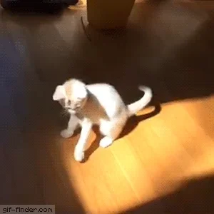 Sunshine GIF