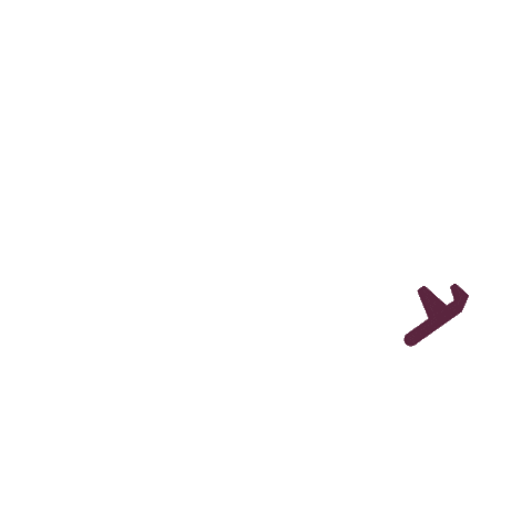 Airplane Muc Sticker by Munich Airport