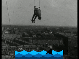 Shark Just Hold On GIF by GIF IT UP