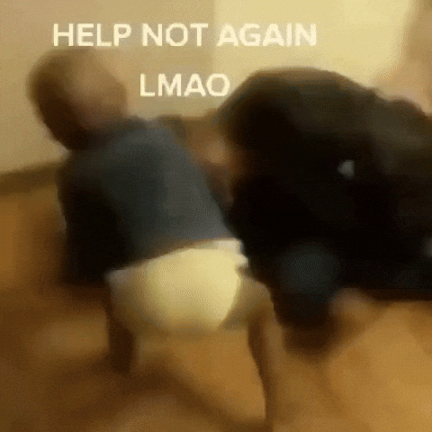 Twitter Joetrick GIF