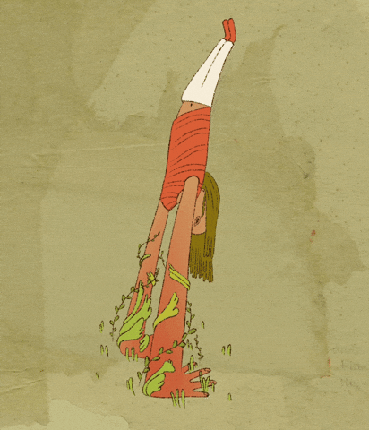 Animation GIF