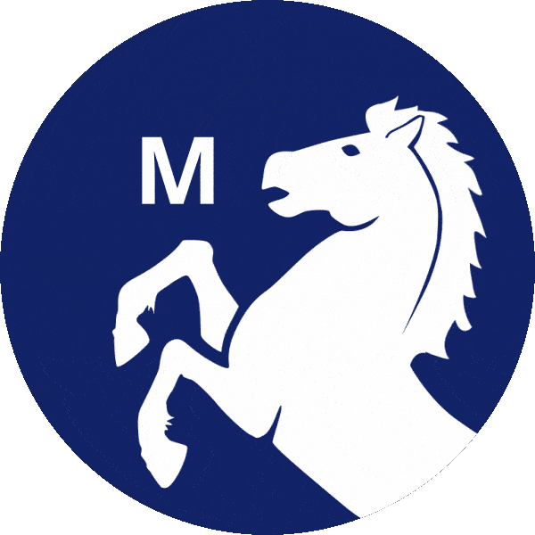 Miðflokkurinn Sticker