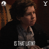 Paramount Network Eating GIF by Yellowstone