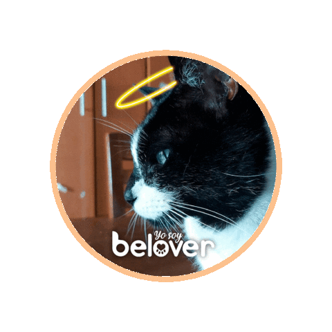 Cat Sticker by Befoods Chile