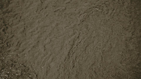 giphy.gif?cid=6c09b952659ta0vmu05n9d630w