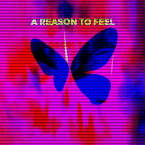 Butterfly Wings GIF by A Reason To Feel