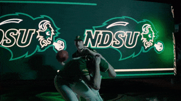 Ndsu Baseball GIF by NDSU Athletics