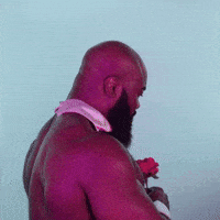 Tuesday Morning GIF by GIPHY Studios Originals