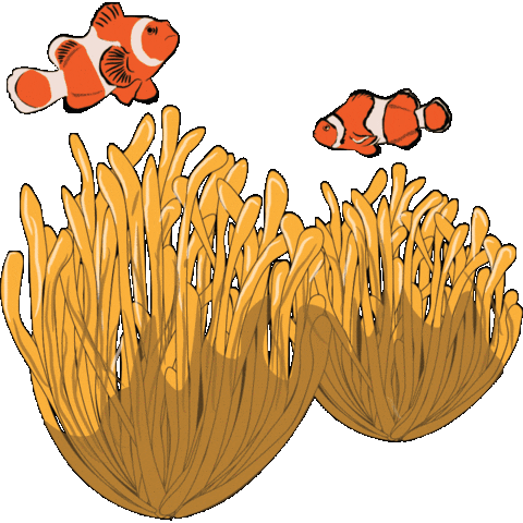 Animated Sticker