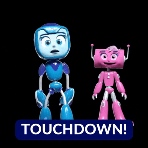 Touch Down Super Bowl GIF by Blue Studios