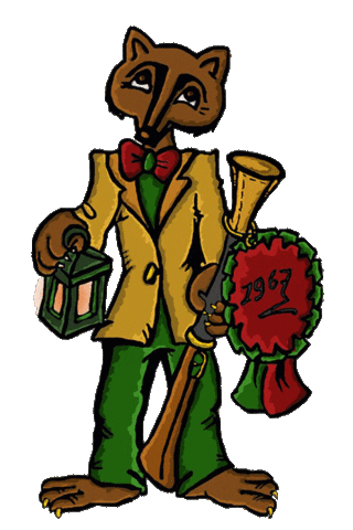 Carnaval Dbb Sticker by dunblaouwunbeer