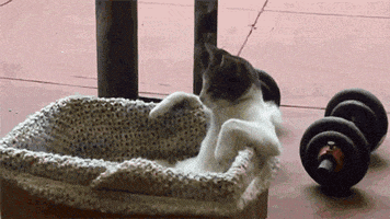 200_s.gif