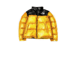 Куртка Одежда Jacket Wear Sticker