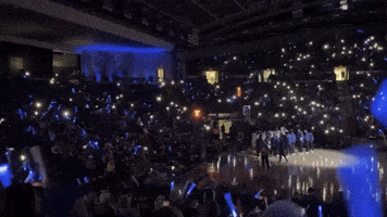 Golden Hurricane Reign Cane GIF by Tulsa Men's Basketball