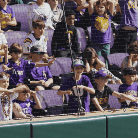 Fans Softball GIF by LSU Tigers