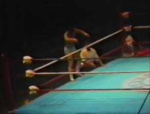 Wrestling GIF