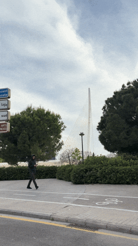 European Union Europe GIF