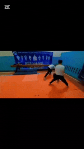 Taekwondobekabad GIF
