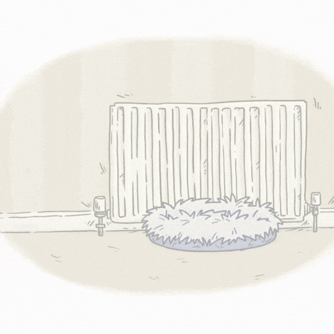 Cat Meme Lol GIF by Simon's Cat