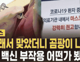 조강현 GIF