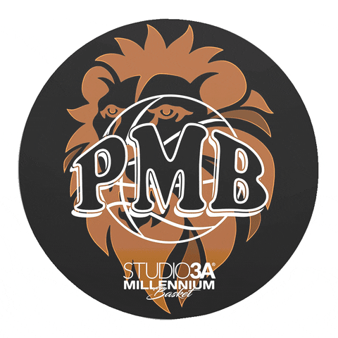 GIF by Studio3A Padova Millennium Basket