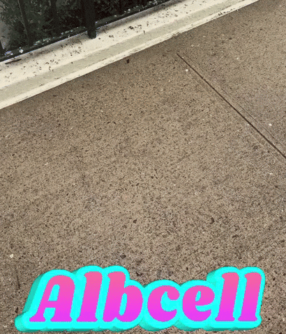 GIF by Alb Cell