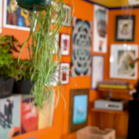 Spy Reaction GIF by NTE Grøntforsprang