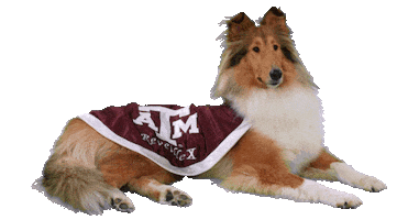 Dog Sticker by Texas A&M University