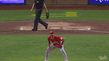 Celebration Screaming GIF by Cincinnati Reds
