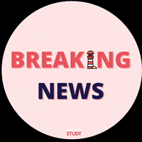 Breaking News Orientation GIF by Capitaine Study