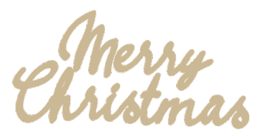 Christmas Tree Sticker by Heart to Heart Foundation