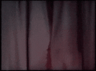 Louisa May Alcott GIFs - Get the best GIF on GIPHY