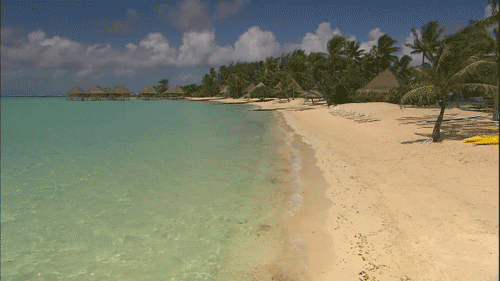R And R Beach GIF - Find & Share on GIPHY