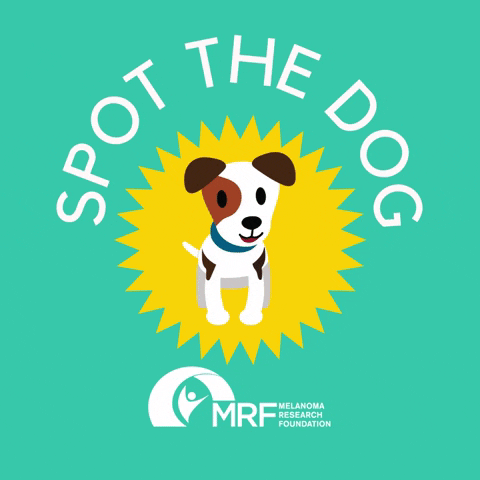 Melanoma Research Foundation GIF