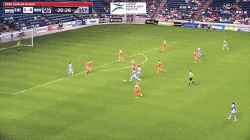 save chicago red stars GIF by Houston Dash