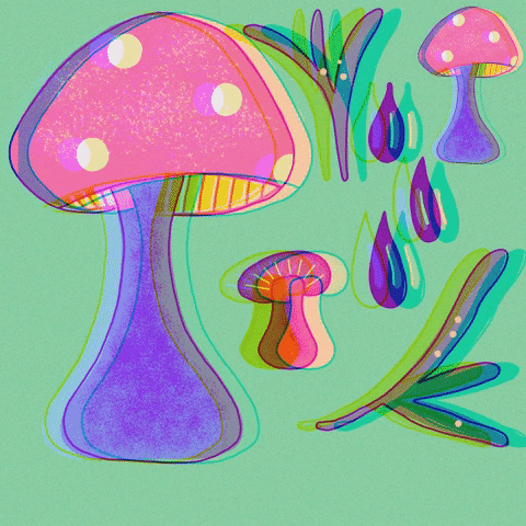 Magic Mushrooms Shrooms GIF by Daisy Lemon