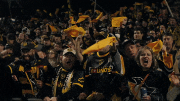 Celebration Fans GIF by Pittsburgh Riverhounds SC