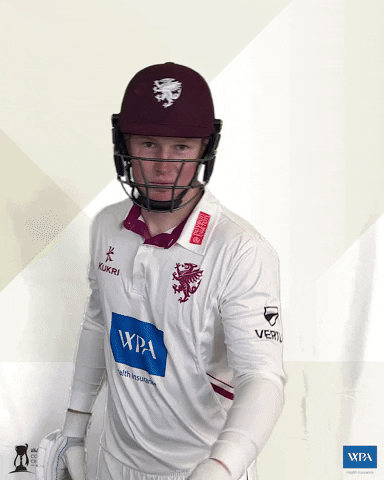 Point Gun GIF by Somerset County Cricket Club