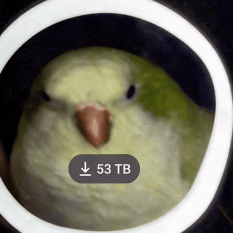 Tb Terabyte GIF