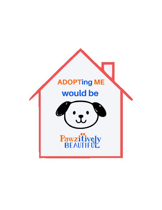 Sticker by Pawzitively Beautiful