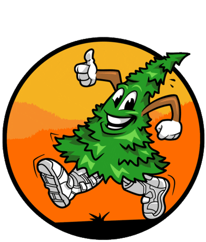 Tmbr Thumbs Up Sticker by TMBRmoto