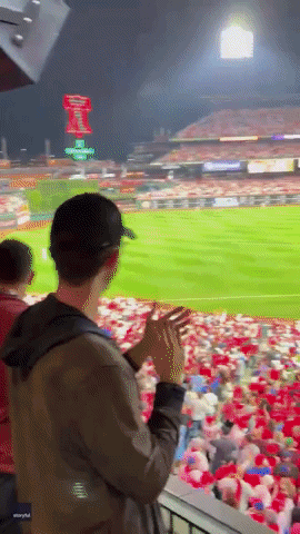 World Series Baseball GIF by Storyful