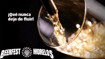 rodrigozamorabalderrama beer cerveza GIF