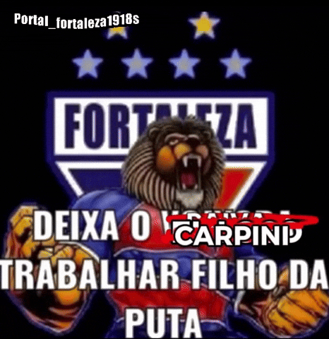Fortaleza Esporte Clube Fortalezaec GIF