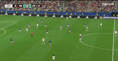 France GIF