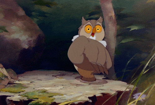 Are owls cute evil or wise
