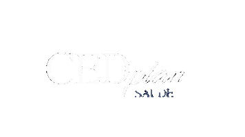 cedplan Sticker