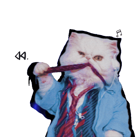 Cat Omg Sticker
