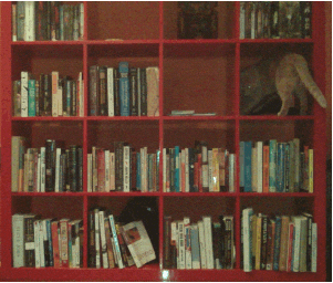 books falling off shelf gif