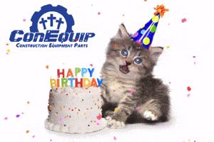 Cat Birthday GIF by ConEquip Parts
